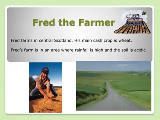 Fred the Farmer: Wheat Crop Management Guidance in Scotland