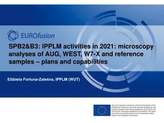 Microscopy Analyses of Fusion Devices Samples in 2021