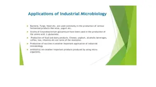 Industrial Microbiology and Its Key Characteristics