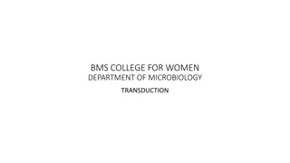 Microbiology Department at BMS College for Women: Transduction Process Explained