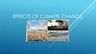 Impact of Climate Change on Plants, Animals, and Weather Patterns