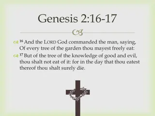Importance of Tithing in Christianity