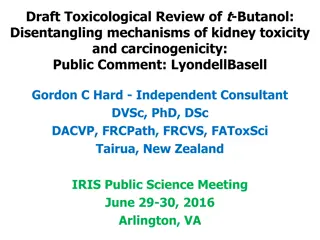 Disentangling Mechanisms of Kidney Toxicity and Carcinogenicity in t-Butanol Toxicological Review