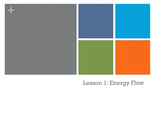 Exploring Energy Flow, Generation, and Transmission