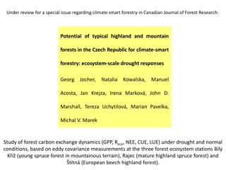 Exploring Potential of Czech Republic Mountain Forests for Climate-Smart Forestry