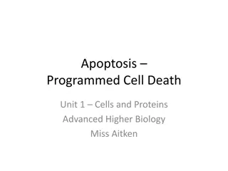 Apoptosis in Cell Biology