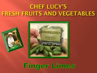 Discover the Vibrant World of Finger Limes