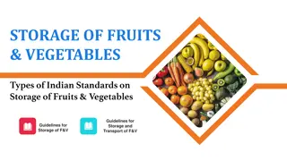 Effective Storage and Guidelines for Fruits and Vegetables