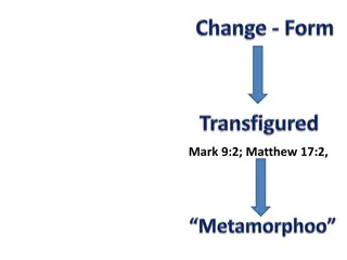 Transformation through Belief and Renewal: Biblical Guidelines
