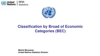 BEC Classification for Trade Analysis