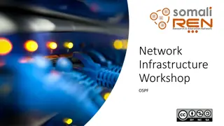 Implementing OSPF for Optimal Network Efficiency