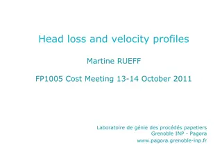 Pulp Suspension Flows and Head Loss Profiles
