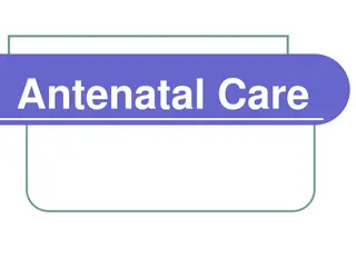 Antenatal Care