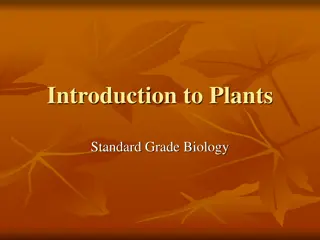 Exploring Plants: Reproduction, Parts, and Functions