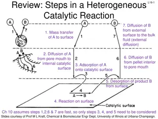 Heterogeneous Catalytic Reactions