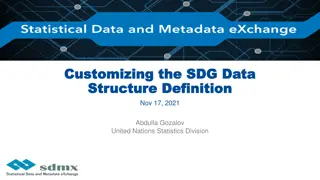 Customizing the SDG Data Structure for National Use