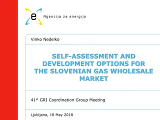 Self-Assessment and Development Options for the Slovenian Gas Wholesale Market
