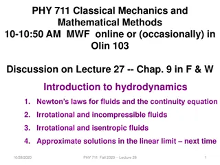 Introduction to Newton's Equations for Fluids and Euler Analysis