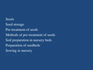 Effective Seed Collection and Storage Techniques for Agroforestry Nurseries