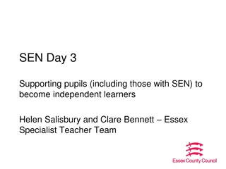 Supporting Pupils to Become Independent Learners - Strategies and Importance