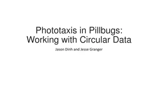 Phototaxis in Pillbugs and Linear Regression Concepts