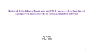 Assimilation of Formic Acid and CO2 by Engineered E. coli