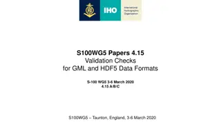 Validation Checks for S-100 GML and HDF5 Data Formats Overview