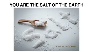 Salt of the Earth: Be Light and Flavorful