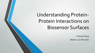 Understanding Protein-Protein Interactions on Biosensor Surfaces
