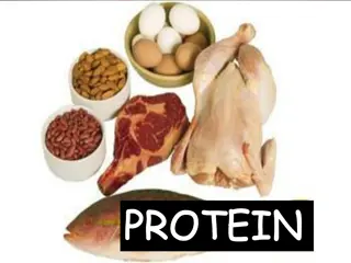 Unraveling the Composition and Importance of Proteins