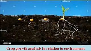 Analyzing Crop Growth in Relation to Environment: A Comprehensive Study