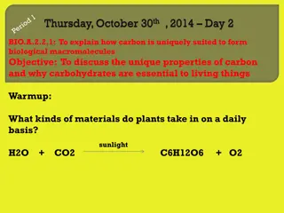 Carbohydrates and Monosaccharides in Biology