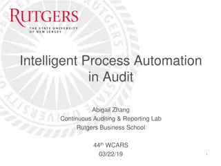 Intelligent Process Automation in Audit: Overview and Motivation