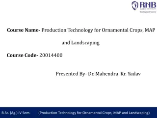 Production Technology for Ornamental Crops and Geranium Cultivation