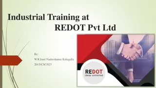 Industrial Training Experience at REDOT Pvt Ltd with W.R.Isuri Nadeeshanee Kalugalla