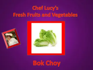 Discover the Health Benefits of Bok Choy - Chef Lucy's Fresh Fruits and Vegetables
