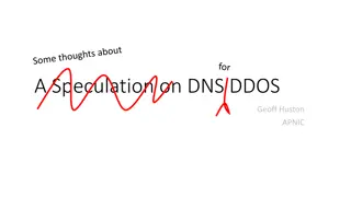 Speculation on DNS DDoS Attacks and Mitigations