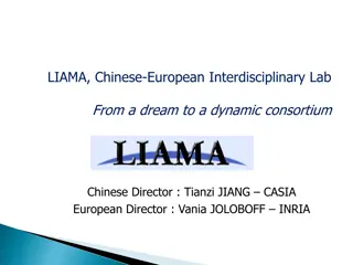 LIAMA: Chinese-European Interdisciplinary Lab Consortium