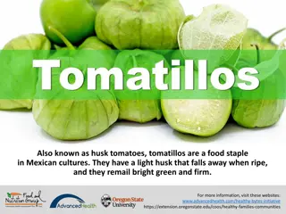 Health Benefits of Tomatillos: A Mexican Staple Superfood