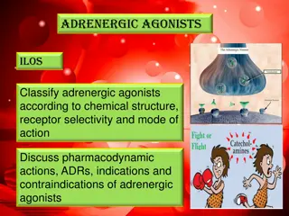 Adrenergic Agonists: Classification, Pharmacodynamics, and Clinical Applications