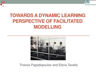 Dynamic Learning Perspective of Facilitated Modelling