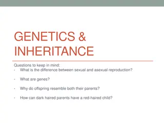 Genetics and Inheritance: Key Concepts Explained