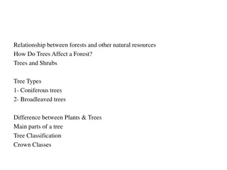 The Role of Trees and Forests in Ecosystems
