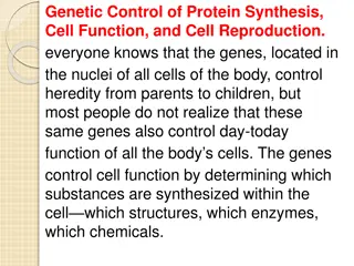Genetic Control of Protein Synthesis and Cell Functions