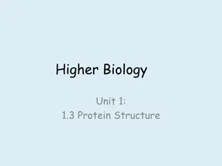Protein Structure in Biology Studies