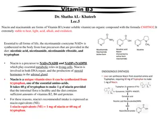 Niacin: The Essential Vitamin for Metabolic Functions