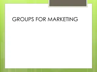 Innovative School Project Roles for Marketing Success
