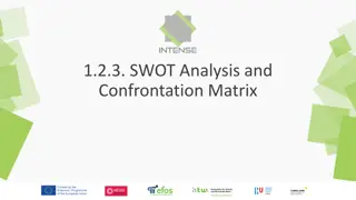 Developing International Strategies: SWOT Analysis and Confrontation Matrix