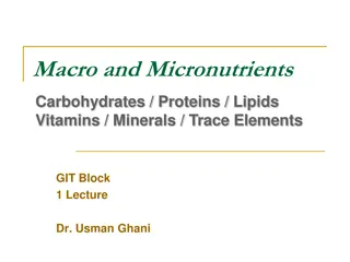 Macronutrients and Micronutrients in Nutrition