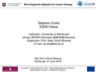 Bio-Orthogonal Catalysis for Cancer Therapy Research Projects